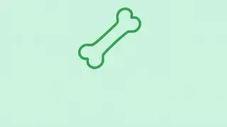 Ízületek, csontok és porcok